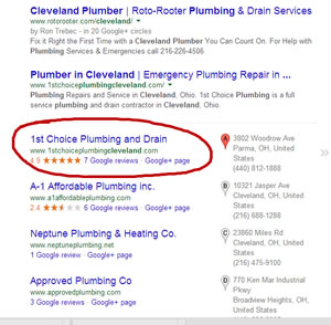 local search ranking specialists